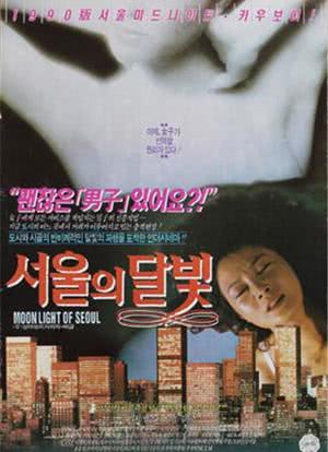 서울의 달빛海报封面图