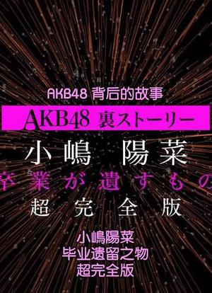 AKB48背后的故事特别篇 小嶋阳菜毕业遗留之物海报封面图