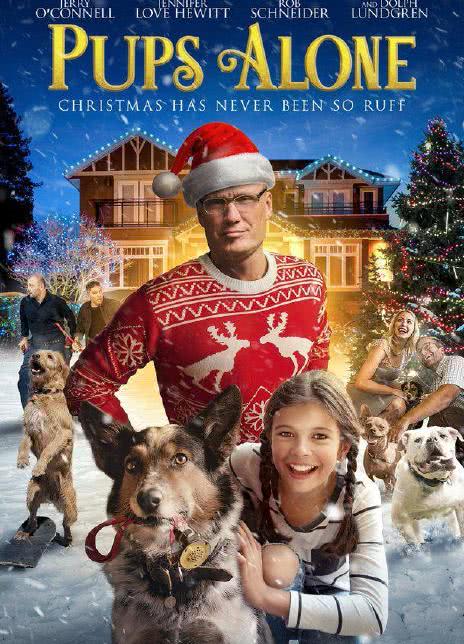 2021美国喜剧《灵犬当家：圣诞节的危险》BD1080P.迅雷下载