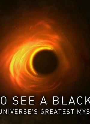 如何看见黑洞：宇宙的终极秘密海报封面图