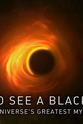邓肯·布林 如何看见黑洞：宇宙的终极秘密