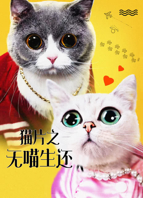 2019国产剧情《猫片之无喵生还》HD1080P高清迅雷下载