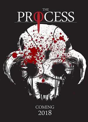 The Process海报封面图