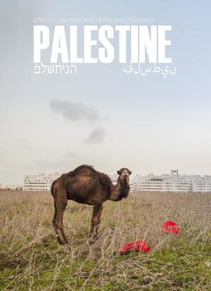 巴勒斯坦之子海报封面图