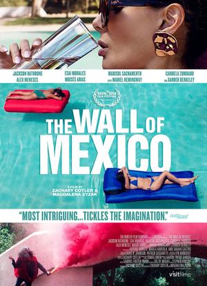 墨西哥围墙海报封面图