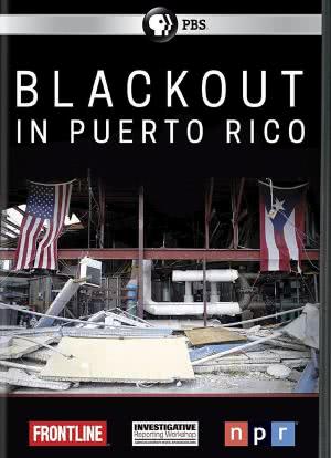 Blackout in Puerto Rico海报封面图
