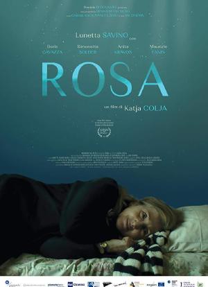罗莎的伊戈尔海报封面图