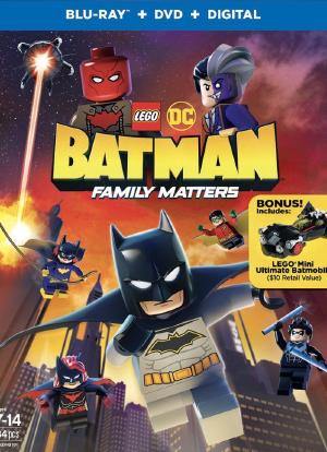 乐高DC蝙蝠侠：家族事务海报封面图