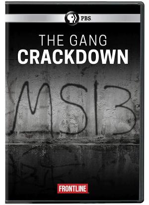 The Gang Crackdown海报封面图