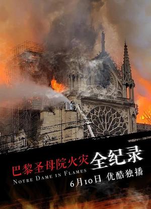 巴黎圣母院火灾全纪录海报封面图