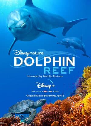 海豚礁海报封面图