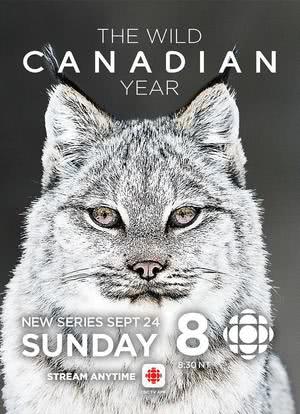 加拿大的狂野年轮 第一季海报封面图