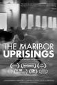 Mary Lampson 马里博尔起义现场：这是一部互动式电影