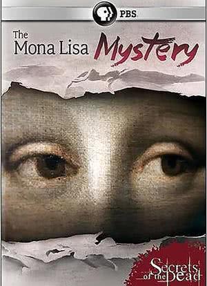 蒙娜丽莎之谜海报封面图