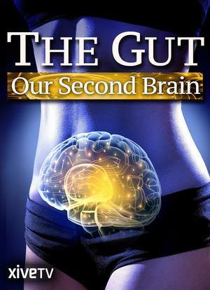 The Gut: Our Second Brain海报封面图