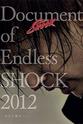 内博贵 Document of Endless Shock 2012-明日の舞台へ