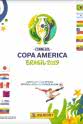 毛里西奥·阿尼巴尔·伊斯拉 2019年巴西美洲杯