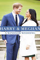 Eve Pollard Harry and Meghan: A Windsor Wedding