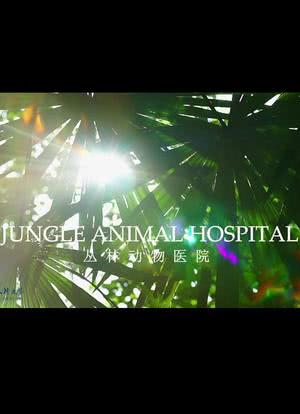 BBC自然世界 丛林动物医院海报封面图