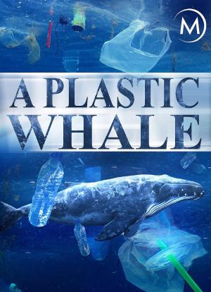 塑料鲸鱼海报封面图
