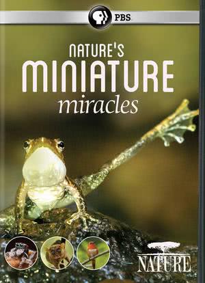 大自然：自然界的微型奇迹海报封面图