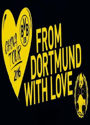多特蒙德2016年国际冠军杯官方纪录片：黄黑之爱海报封面图