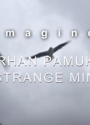 Imagine… Orhan Pamuk: A Strange Mind海报封面图