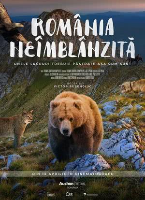 野性的罗马尼亚海报封面图