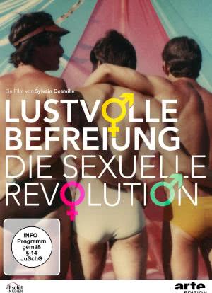 欢乐的解放：性革命海报封面图