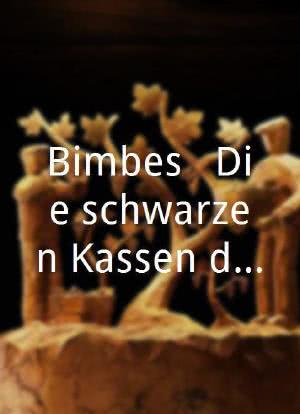 Bimbes - Die schwarzen Kassen des Helmut Kohl海报封面图