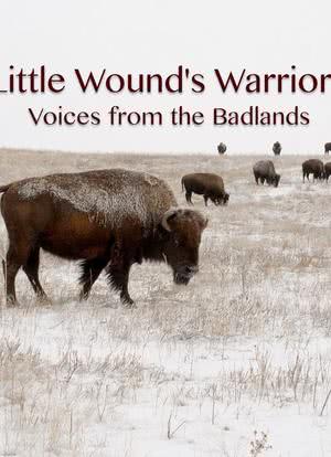 Little Wound's Warriors: Voices from Badlands海报封面图