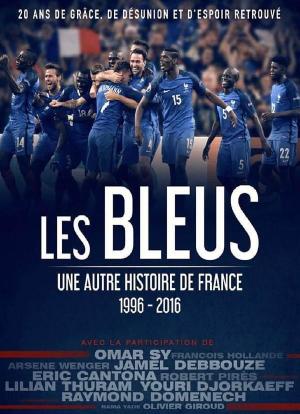 蓝衣军团：另一段法国史海报封面图