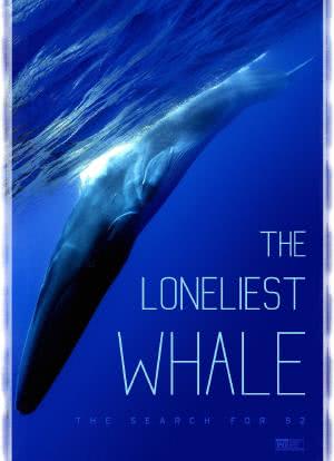 最孤独的鲸：寻找52海报封面图