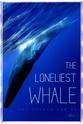 Jenna Gabriel 最孤独的鲸：寻找52