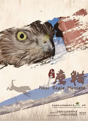 纳西鹰猎海报封面图
