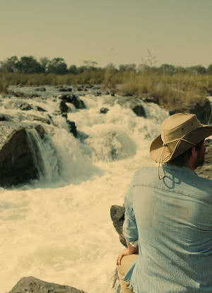 Fluss des Lebens - Okavango海报封面图