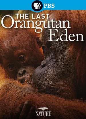 The Last Orangutan Eden海报封面图