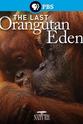 Alison Limerick The Last Orangutan Eden