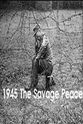 Denys Blakeway 1945：野蛮的和平