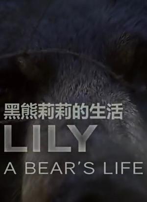 莉莉 一头熊的生活海报封面图