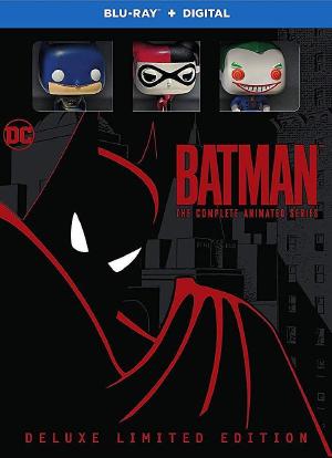 蝙蝠侠之心海报封面图
