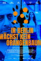 Karim Günes In Berlin wächst kein Orangenbaum