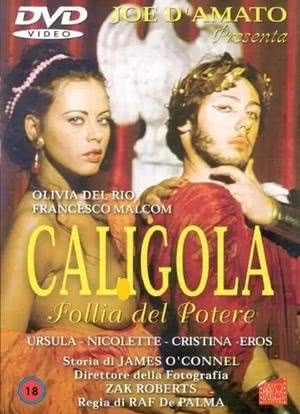 Caligola: Follia del potere海报封面图