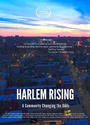 Harlem Rising: A Community Changing the Odds海报封面图