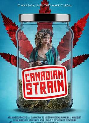 加拿大麻烦海报封面图