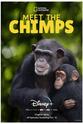 Nick Norman-Butler 和黑猩猩见面
