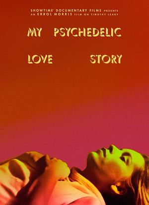 我的迷幻爱情故事海报封面图