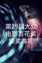 袁乃晨 第29届大众电影百花奖颁奖典礼