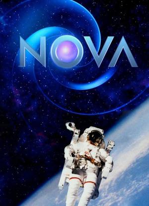 Nova Season 45海报封面图