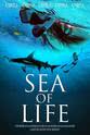 Fabien Cousteau Sea of Life